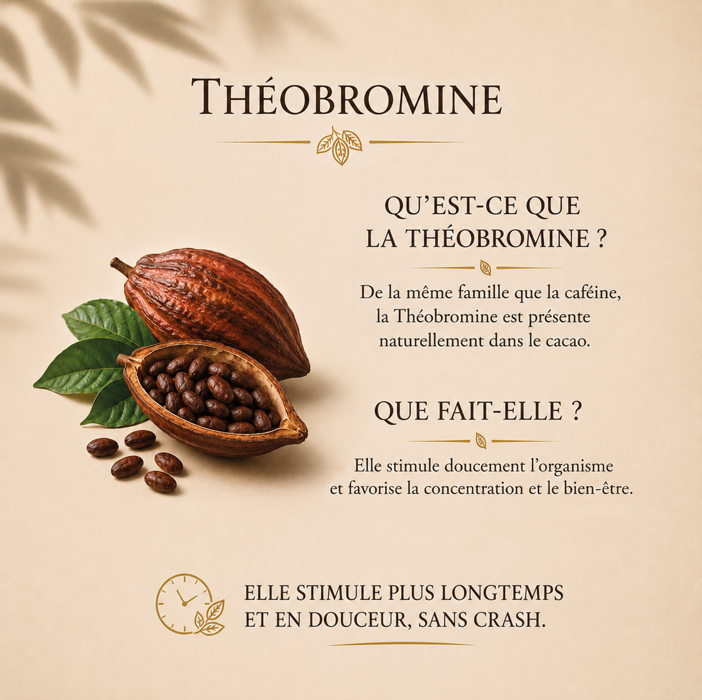 Le rituel - Alternative au café - 100g
